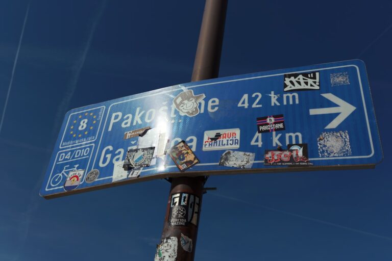 How to Plan Your Perfect Road Trip Experience Today