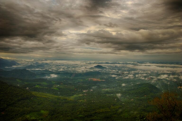 Experience Nature Like Never Before with Our Trip Ideas