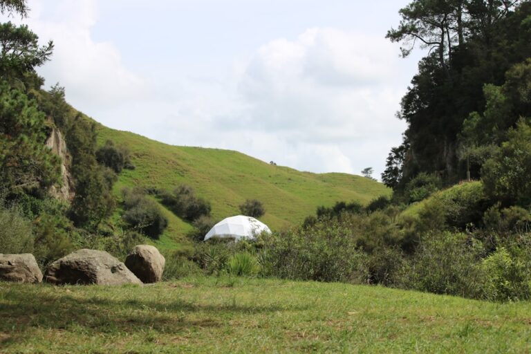 RambleVista’s Top Tips for Traveling Sustainably This Year
